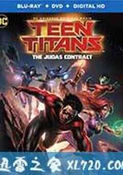 少年泰坦：犹大契约 Teen Titans: The Judas Contract (2017) 4K网盘迅雷下载