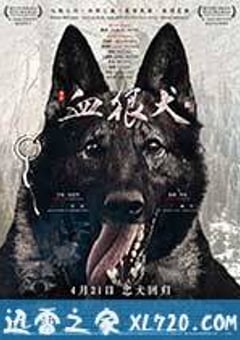 血狼犬 (2017) 4K网盘迅雷下载