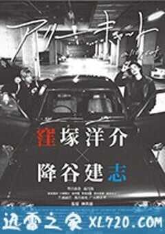 野良猫 アリーキャット (2017) 4K网盘迅雷下载