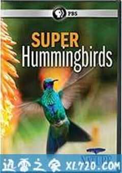 超级蜂鸟 Super Hummingbirds (2016) 4K网盘迅雷下载