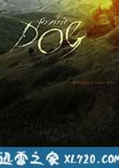 残暴 Prairie Dog (2015) 4K网盘迅雷下载