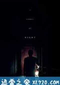 黑夜造访 It Comes at Night (2017) 4K网盘迅雷下载
