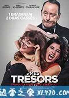 我的珍宝 Mes trésors (2017) 4K网盘迅雷下载