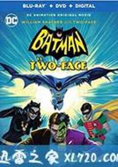 蝙蝠侠大战双面人 Batman Vs. Two-Face (2017) 4K网盘迅雷下载