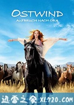 骏马奥斯温3 Ostwind 3: Aufbruch nach Ora (2017) 4K网盘迅雷下载