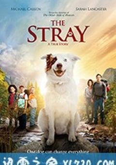 流浪狗 The Stray (2017) 4K网盘迅雷下载