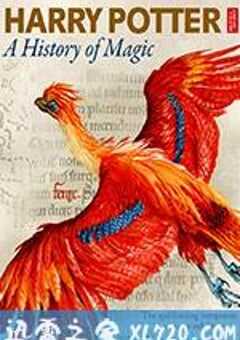 哈利·波特：一段魔法史 Harry Potter: A History of Magic (2017) 4K网盘迅雷下载