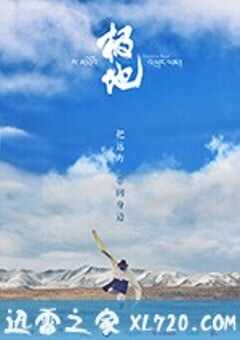 极地 (2017) 4K网盘迅雷下载