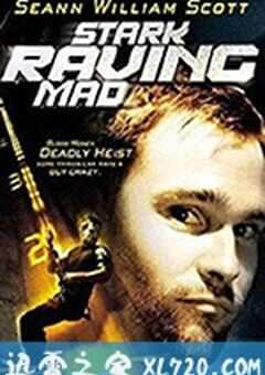 薯唛大贼 Stark Raving Mad (2002) 4K网盘迅雷下载