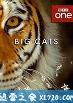 大猫 Big Cats (2018) 4K网盘迅雷下载
