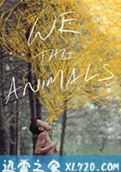 我们，动物 We the Animals (2018) 4K网盘迅雷下载
