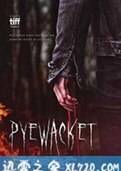 猫妖 Pyewacket (2017) 4K网盘迅雷下载