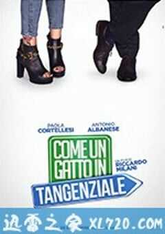 高速路上一只猫 Come un gatto in tangenziale (2017) 4K网盘迅雷下载