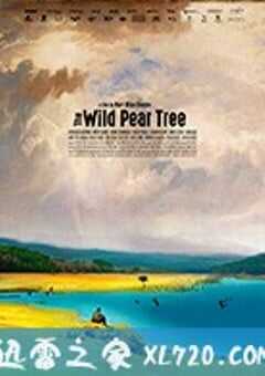 野梨树 Ahlat Ağacı (2018) 4K网盘迅雷下载