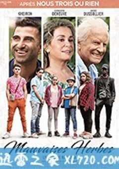 甜蜜香草 Mauvaises herbes (2018) 4K网盘迅雷下载