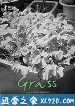 草叶集 풀잎들 (2018) 4K网盘迅雷下载