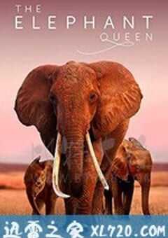 大象女王 The Elephant Queen (2018) 4K网盘迅雷下载
