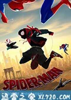 蜘蛛侠：平行宇宙 Spider-Man: Into the Spider-Verse (2018) 4K网盘迅雷下载