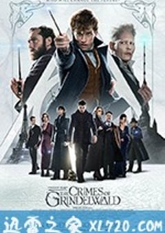 神奇动物：格林德沃之罪 Fantastic Beasts: The Crimes of Grindelwald (2018) 4K网盘迅雷下载