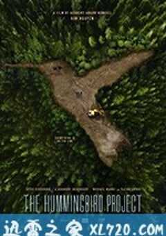 蜂鸟计划 The Hummingbird Project (2018) 4K网盘迅雷下载