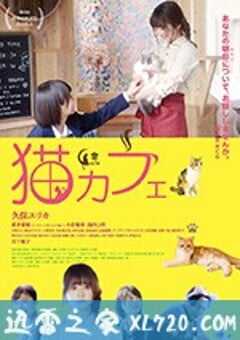 猫咪咖啡厅 猫カフェ (2018) 4K网盘迅雷下载