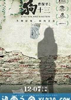 狗十三 (2018) 4K网盘迅雷下载