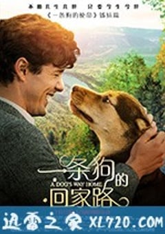一条狗的回家路 A Dog’s Way Home (2019) 4K网盘迅雷下载