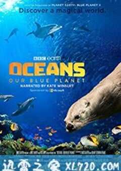 海洋：我们的蓝色星球 Oceans: Our Blue Planet (2018) 4K网盘迅雷下载