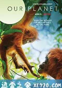 我们的星球 Our Planet (2019) 4K网盘迅雷下载