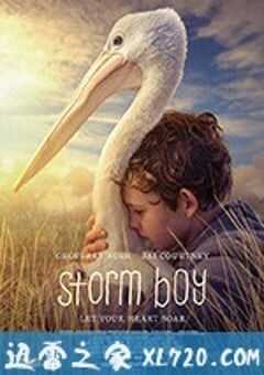 鹈鹕的故事 Storm Boy (2019) 4K网盘迅雷下载