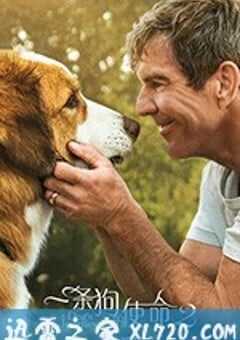 一条狗的使命2 A Dog’s Journey (2019) 4K网盘迅雷下载