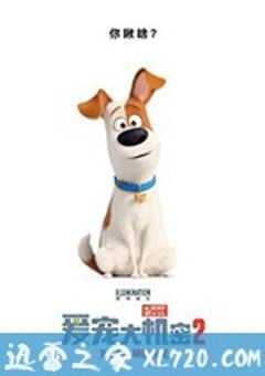 爱宠大机密2 The Secret Life of Pets 2 (2019) 4K网盘迅雷下载