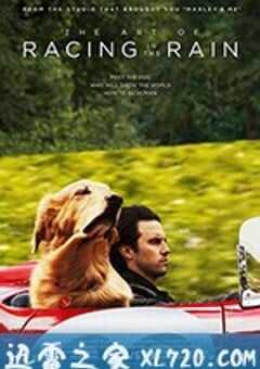 我在雨中等你 The Art of Racing in the Rain (2019) 4K网盘迅雷下载