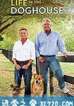 同一汪檐下 Life in the Doghouse (2018) 4K网盘迅雷下载