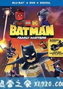 乐高DC蝙蝠侠：家族事务 LEGO DC Batman: Family Matters (2019) 4K网盘迅雷下载