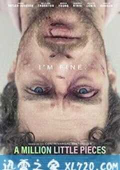 百万碎片 A Million Little Pieces (2019) 4K网盘迅雷下载