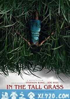 高草丛中 In the Tall Grass (2019) 4K网盘迅雷下载