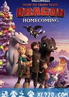 驯龙高手：归家 How to Train Your Dragon: Homecoming (2019) 4K网盘迅雷下载
