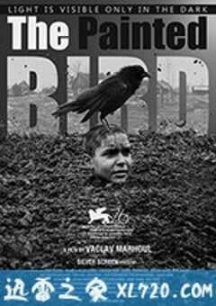 被涂污的鸟 Nabarvené ptáče (2019) 4K网盘迅雷下载