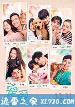 宠爱 (2019) 4K网盘迅雷下载