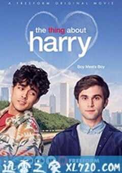 关于哈利的那些事 The Thing About Harry (2020) 4K网盘迅雷下载