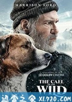 野性的呼唤 The Call of the Wild (2020) 4K网盘迅雷下载