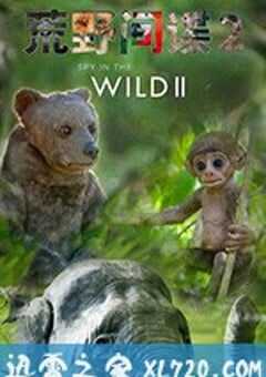 荒野间谍 第二季 The Tropics Season 2 (2020) 4K网盘迅雷下载