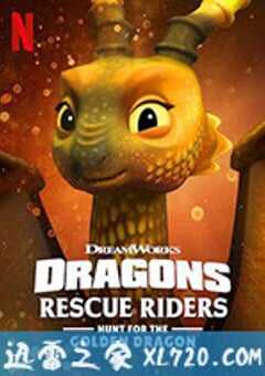 龙族：救援骑士：寻找黄金龙 Dragons: Rescue Riders: Hunt for the Golden Dragon (2020) 4K网盘迅雷下载
