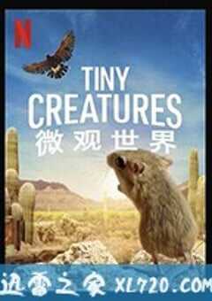 微观世界 Tiny Creatures (2020) 4K网盘迅雷下载