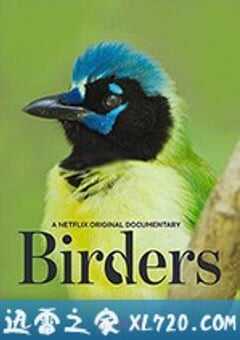 观鸟者 Birders (2019) 4K网盘迅雷下载