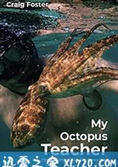 我的章鱼老师 My Octopus Teacher (2020) 4K网盘迅雷下载