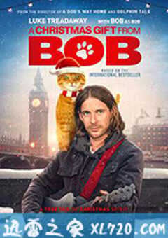 鲍勃的圣诞礼物 A Christmas Gift From Bob (2020) 4K网盘迅雷下载