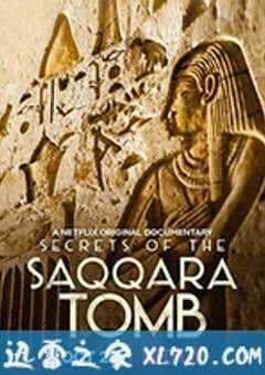 塞加拉陵墓揭秘 Secrets of the Saqqara Tomb (2020) 4K网盘迅雷下载