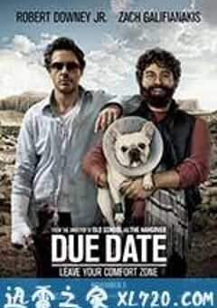预产期 Due Date (2010) 4K网盘迅雷下载